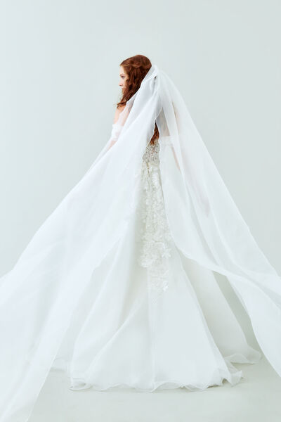 Velo in Organza