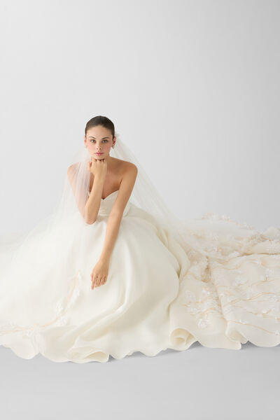 Velo in tulle con ricami