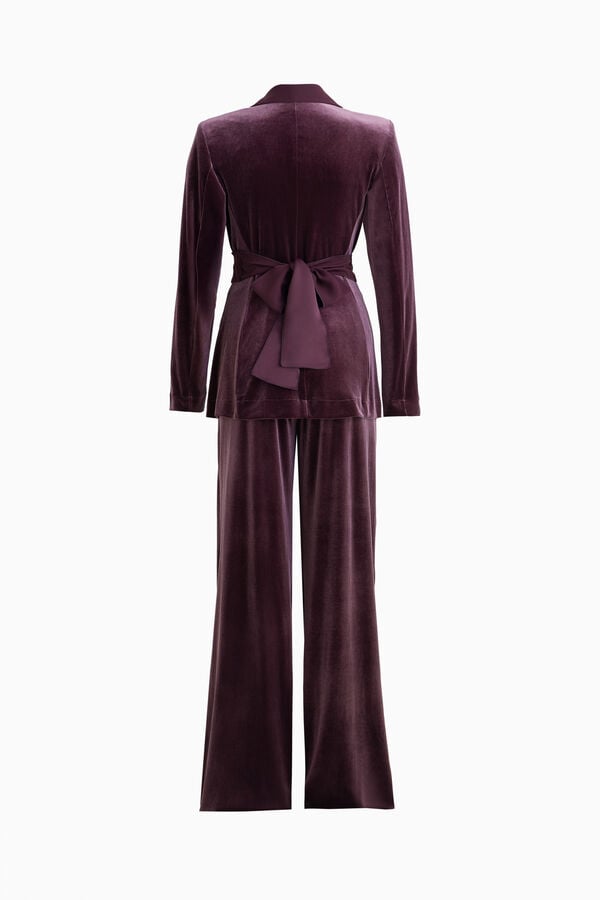 Velvet Suit