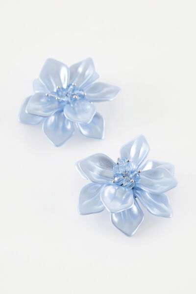 Clip para zapatos