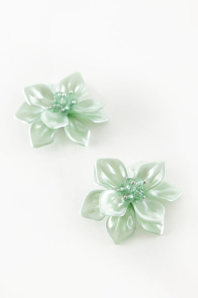 Clip para zapatos