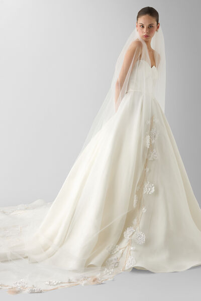 Velo in tulle con ricami