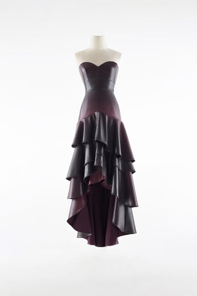 Robe Longue Fox