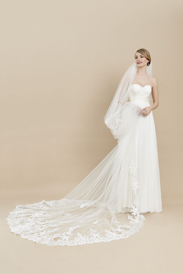 Voile en tulle à broderie de fil sur tout le bas et motifs brodés