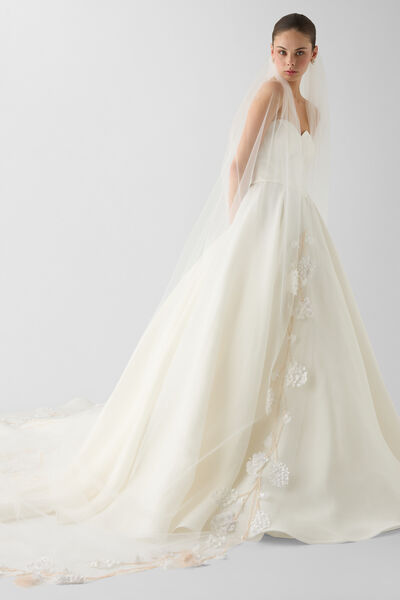 Velo in tulle con ricami